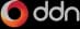 DDN logo