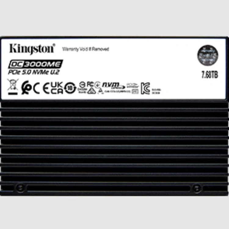 Kingston DC3000ME 7.68TB