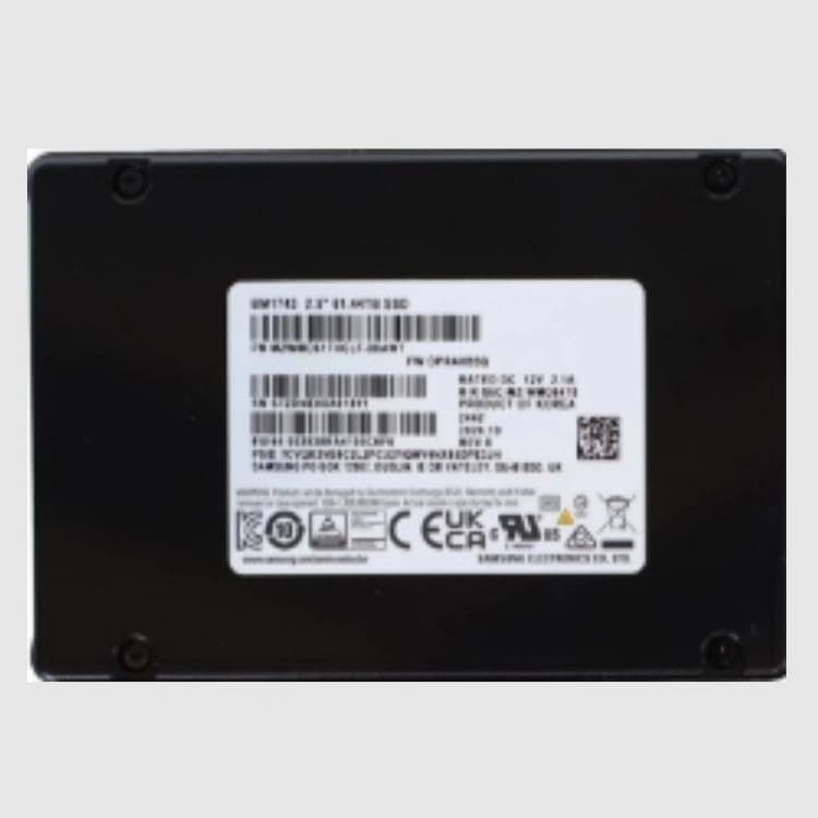 Samsung BM1743 MZWMO61THCLF-00AW7