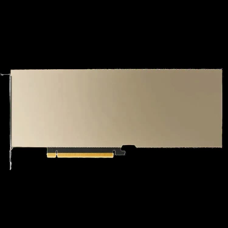 NVIDIA A10 24G Tensor Core GPU
