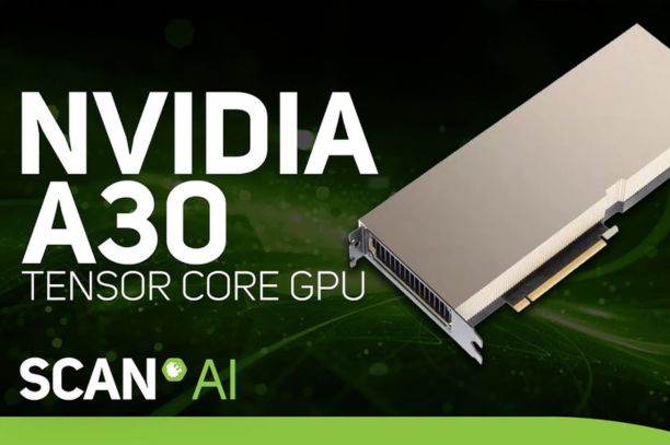 ThinkSystem NVIDIA A30 24GB PCIe Gen4 Passive GPU